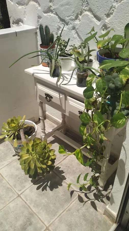Apartment Pino'S Vivienda Vacacional Costa Del Silencio Spain