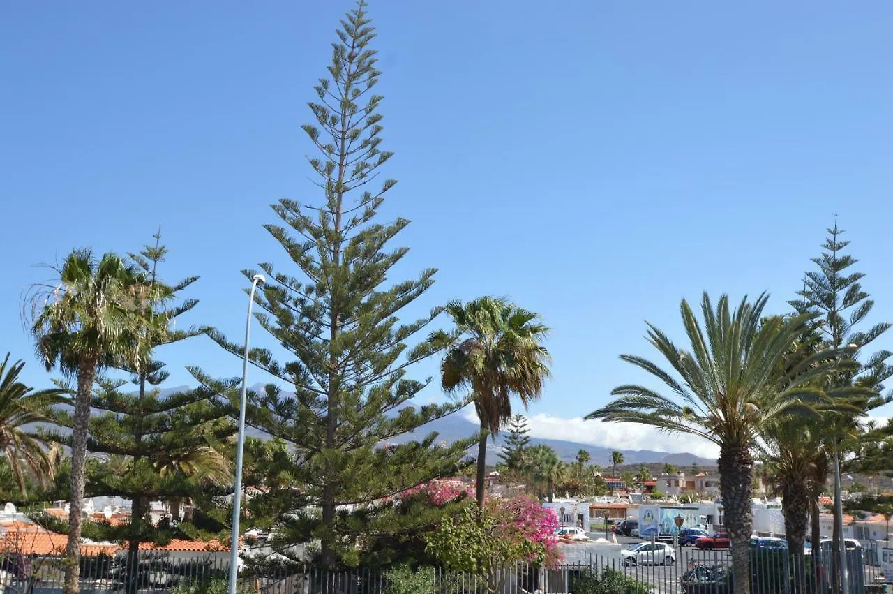 Pino'S Vivienda Vacacional Costa Del Silencio 0*,  Spain